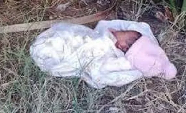 Newborn baby abandoned