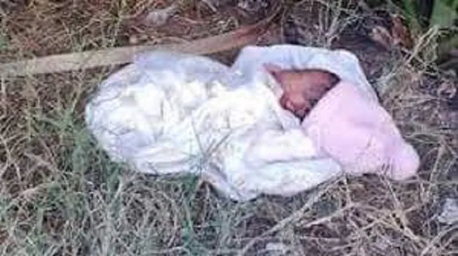 Newborn baby abandoned