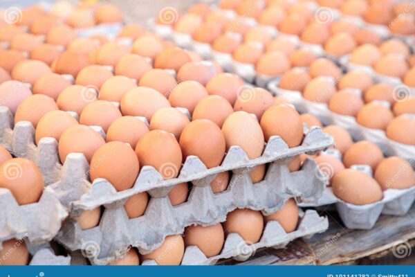 Egg price hike