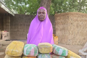 Boko Haram drug supply