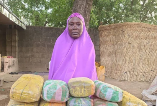 Boko Haram drug supply