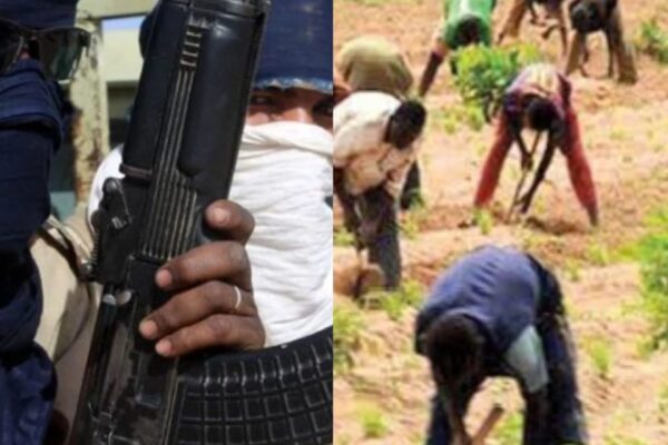 Bandits levy farmers