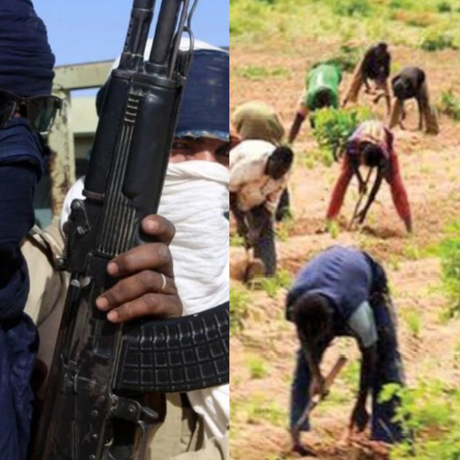 Bandits levy farmers